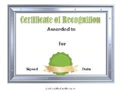 silver metallic border with green ribbon