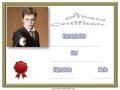 Harry Potter Award