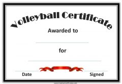 Volleyball award with a black border and red ribbon