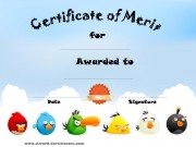 Certificate of Merit