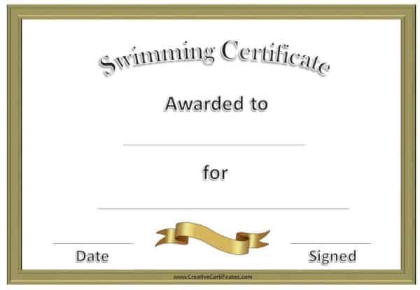 formal certificate with gold border and gold ribbon
