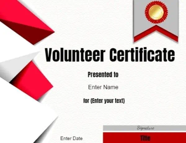 ngo volunteer certificate format