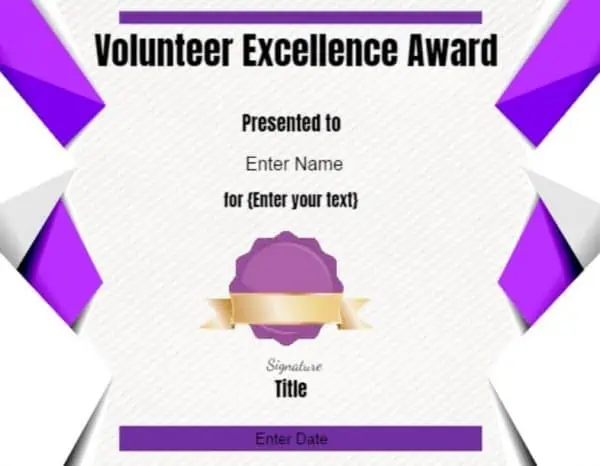 Volunteer Excellence Award