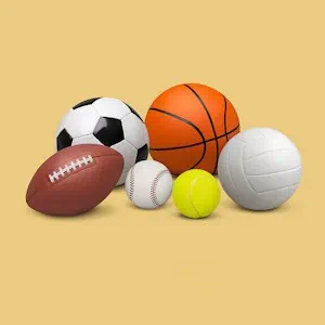 sport - a picture of various balls