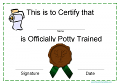 toilet training award