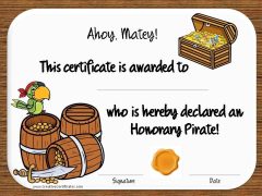 Pirate award