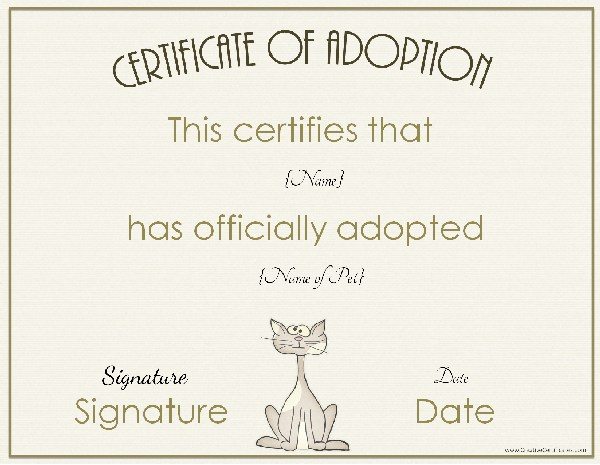 certificate of adoption 5