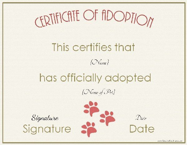 certificate of adoption template