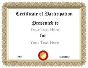 Formal certificate of participation with a gold frame, decorative patterned border, and a red seal emblem.