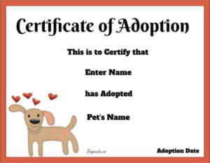 Stuffed animal adoption certificate