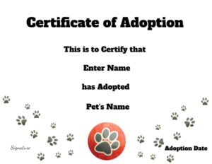 Pet adoption certificate 
